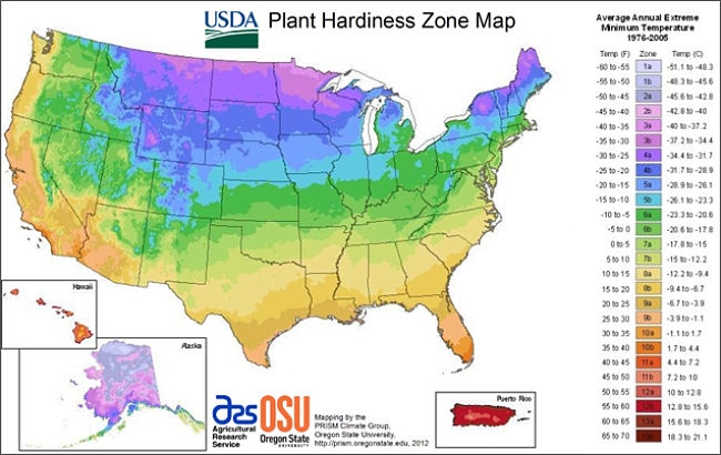 USDA Plant Hardiness Zones for USA